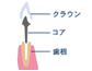 コア